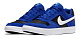 Кеды SB DELTA FORCE VULC, Nike